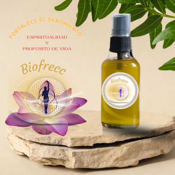 Brisa para el Chakra Corona 30ml